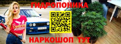 амф Кулебаки