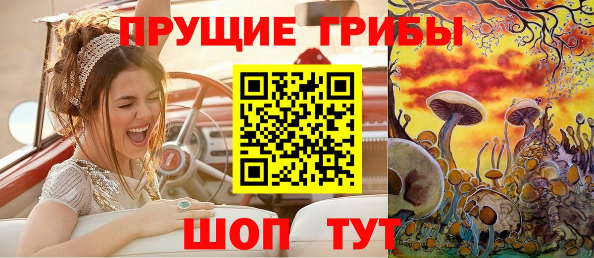Галлюциногенные грибы мицелий Кинель